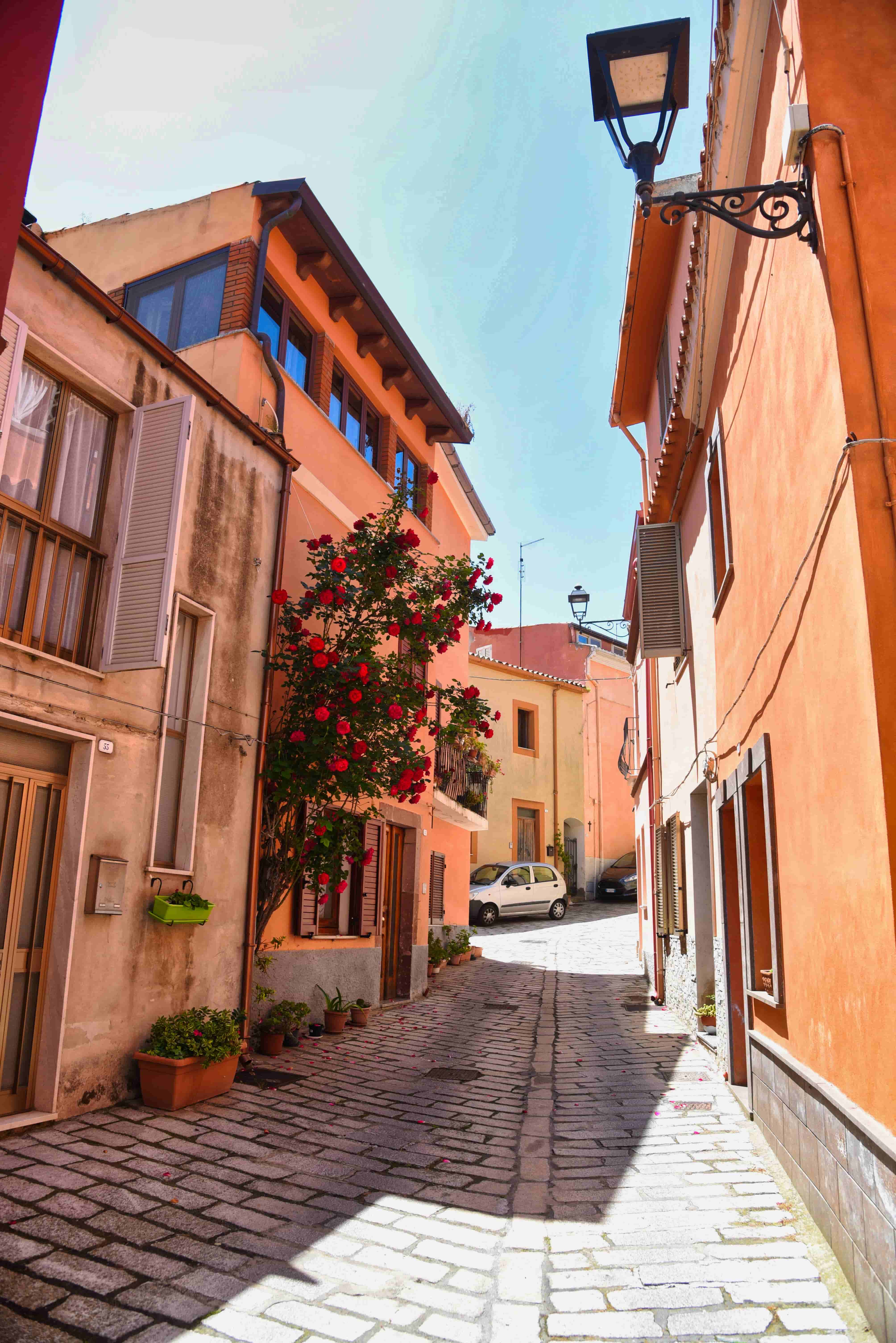 Immagini di Modolo 1