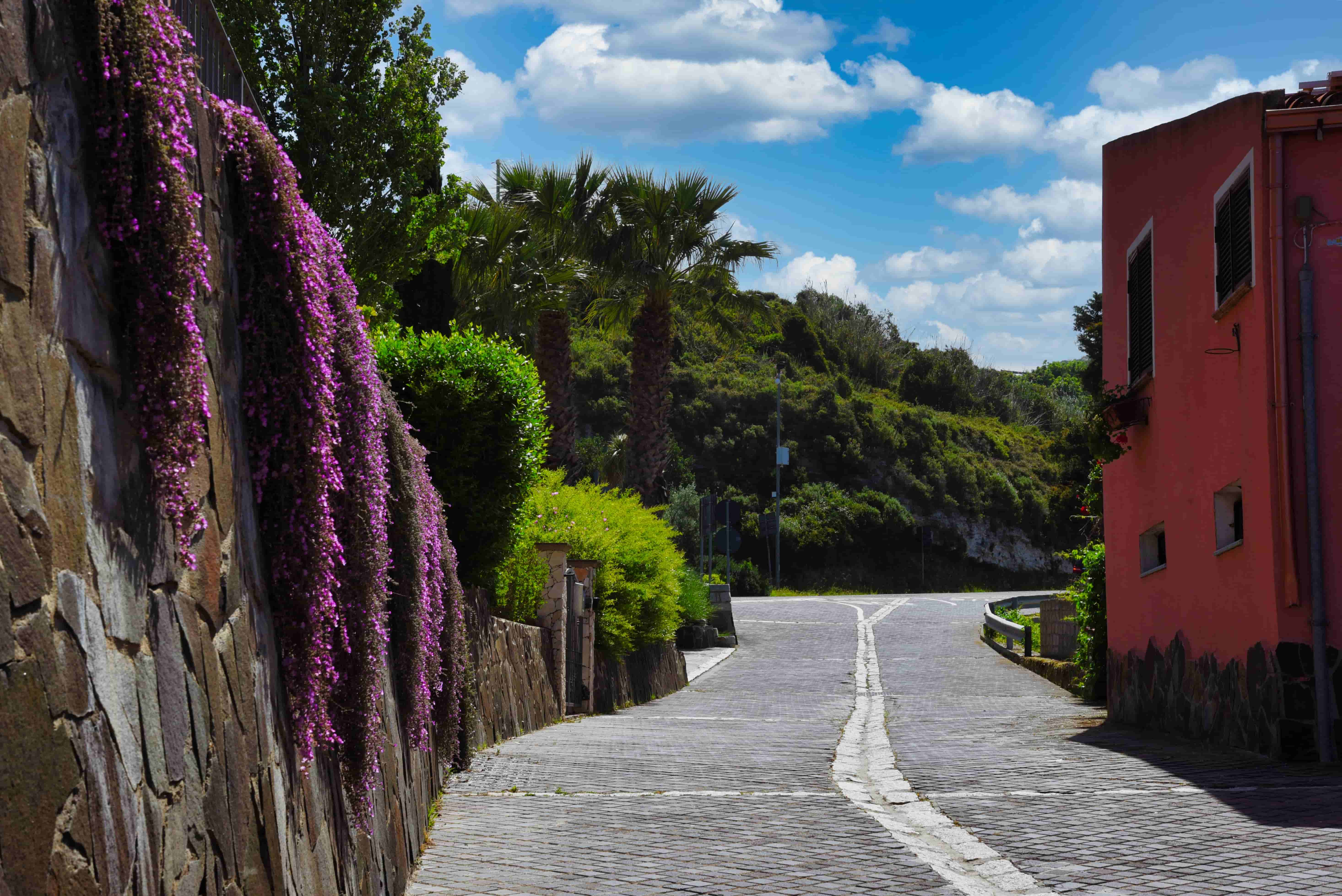 Immagini di Modolo 2